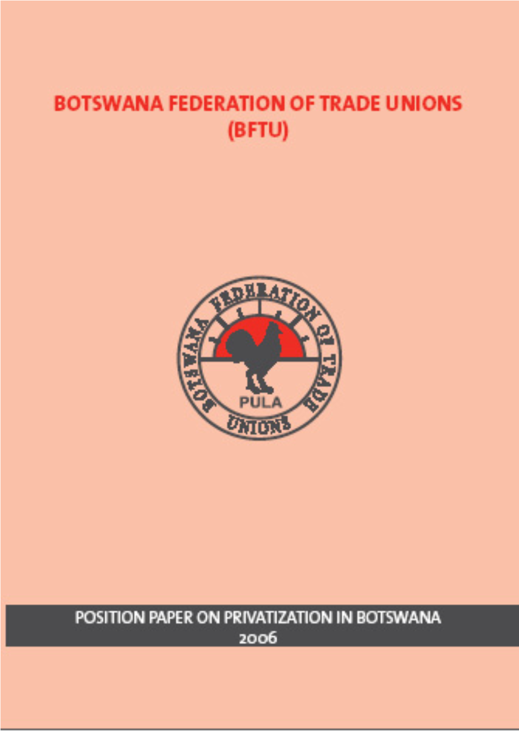 Position Paper on Privatization in Botswana 2006