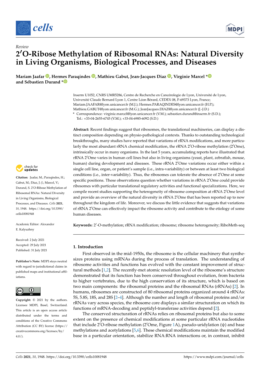 2'O-Ribose Methylation of Ribosomal Rnas: Natural Diversity in Living Organisms, Biological Processes, and Diseases