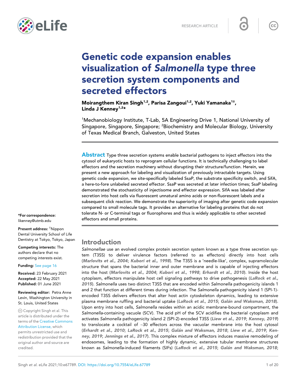 Genetic Code Expansion Enables Visualization of Salmonella Type