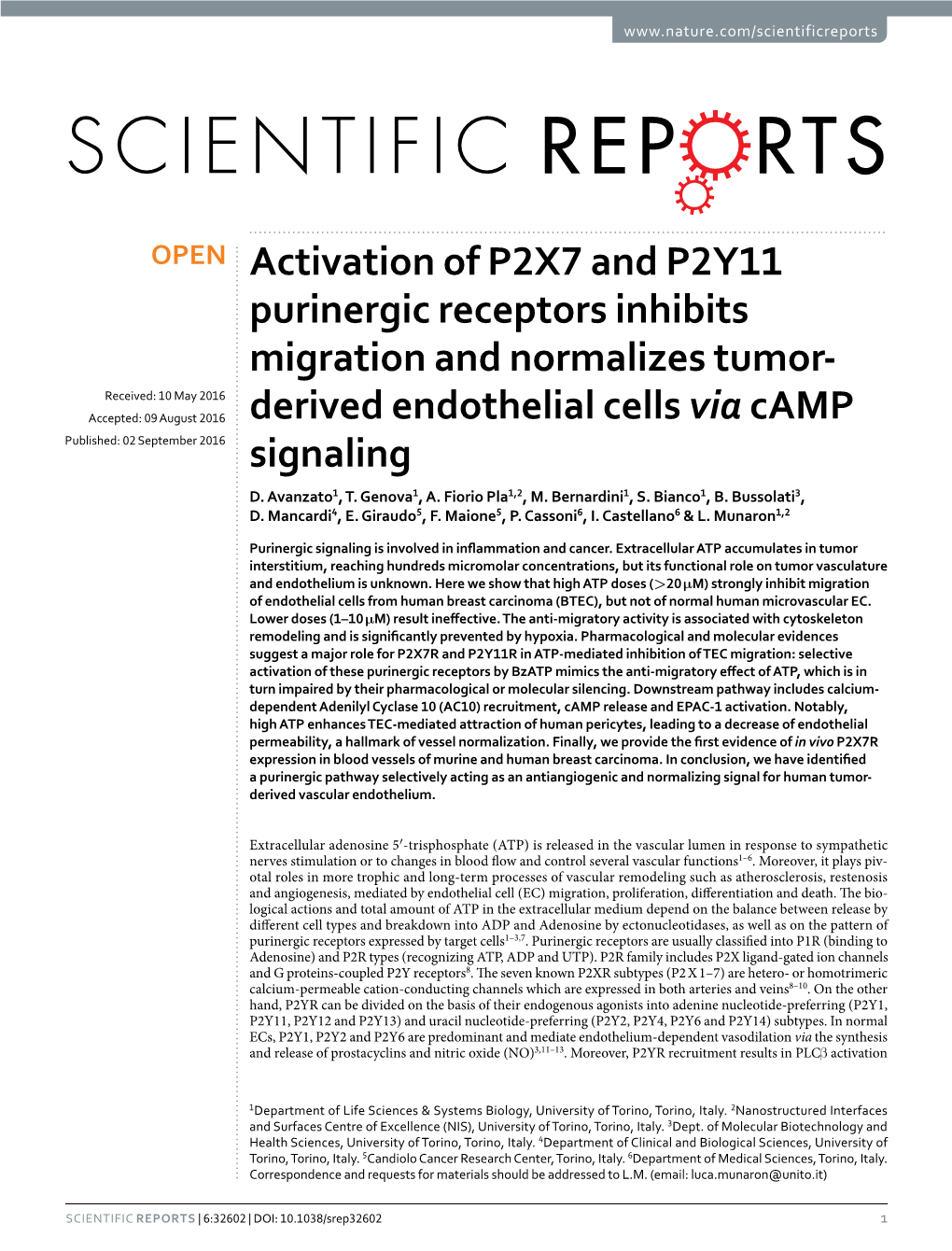 Activation of P2X7 and P2Y11 Purinergic Receptors Inhibits
