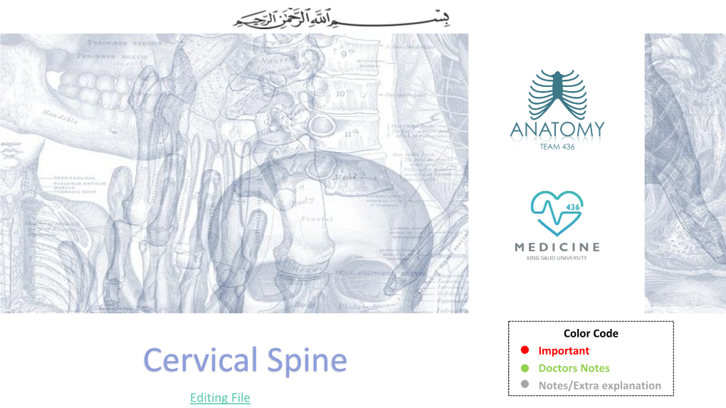 5-Cervical Spine.Pdf