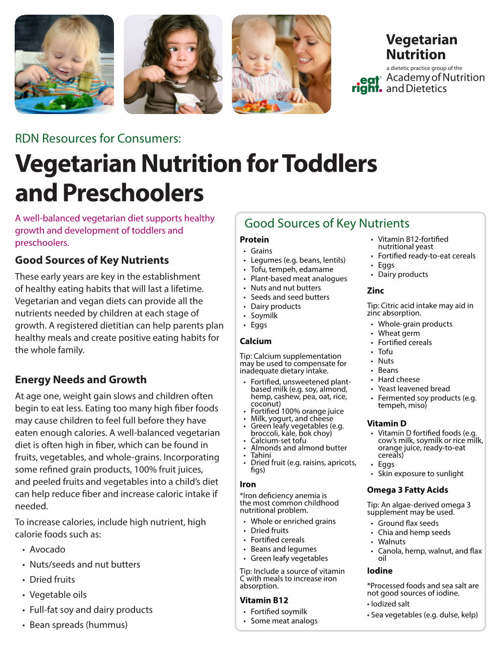 Vegetarian Nutrition for Toddlers and Preschoolers