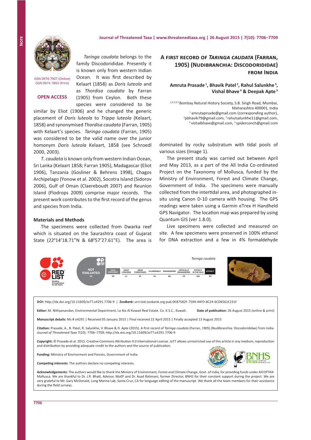 Nudibranchia: Discodorididae) Is Known Only from Western Indian from India ISSN 0974-7907 (Online) Ocean