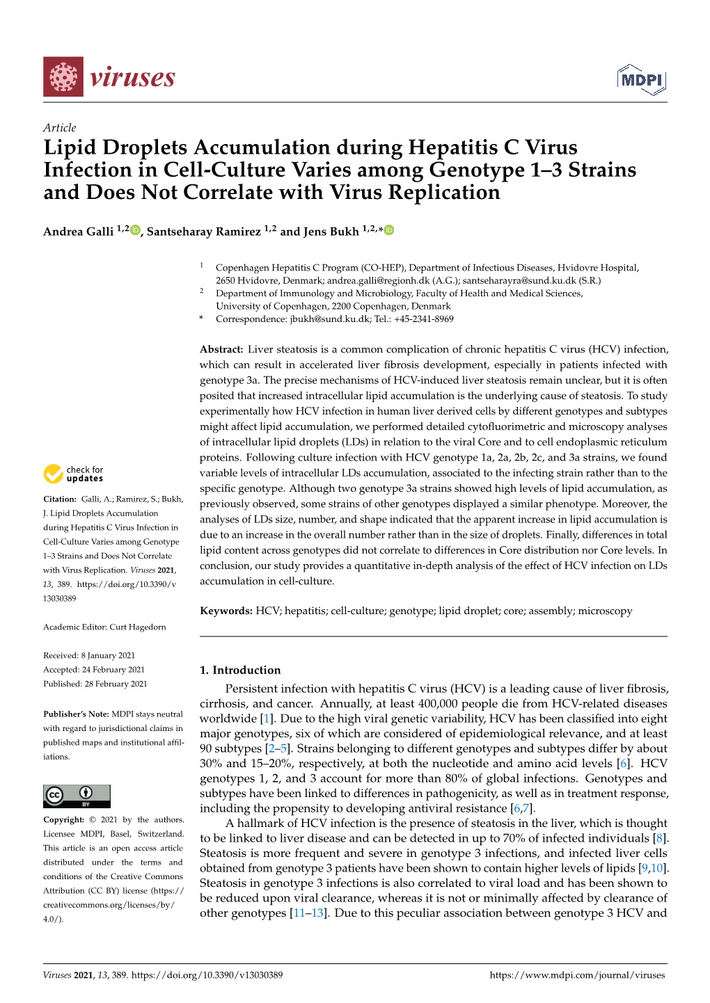 Lipid Droplets Accumulation During Hepatitis C Virus Infection in Cell-Culture Varies Among Genotype 1–3 Strains and Does Not Correlate with Virus Replication