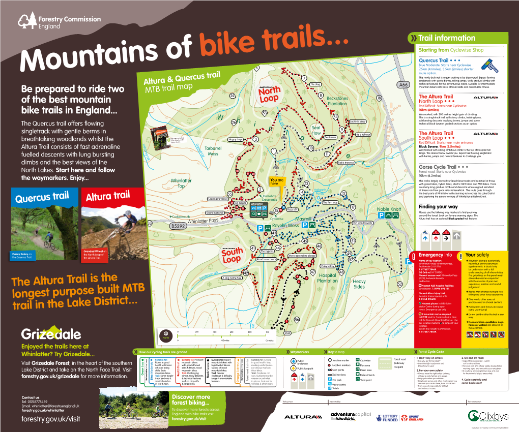 Whinlatter Mountain Bike Trails