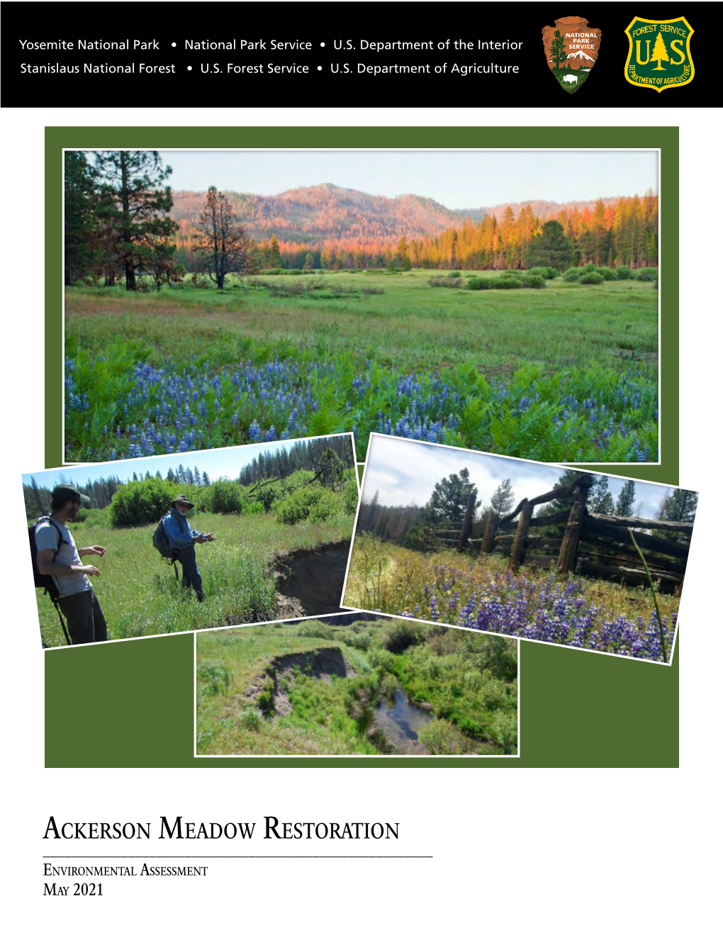 Ackerson Meadow Restoration Environmenal Assessment