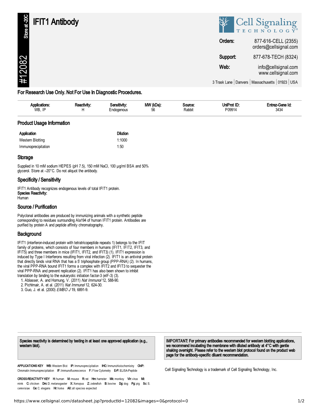 12082 IFIT1 Antibody