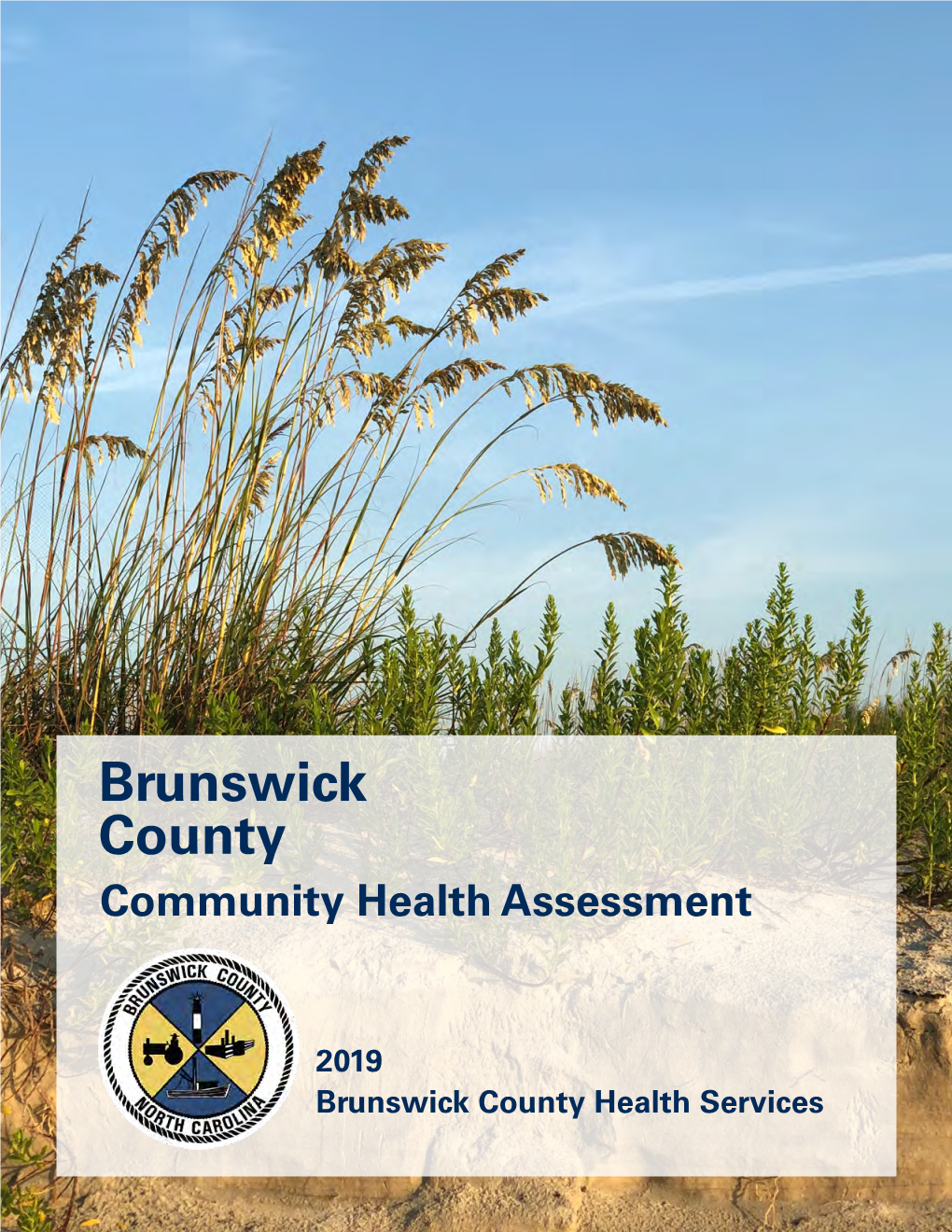 Community Health Assessment