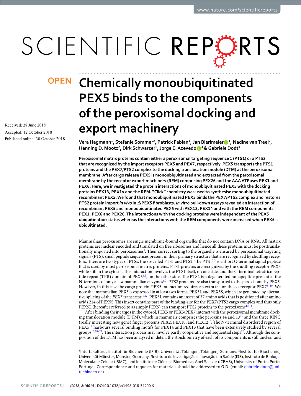 Chemically Monoubiquitinated PEX5 Binds to the Components of the Peroxisomal Docking and Export Machinery