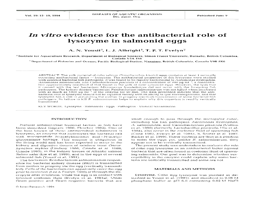 In Vitro Evidence for the Antibacterial Role of Lysozyme in Salmonid Eggs