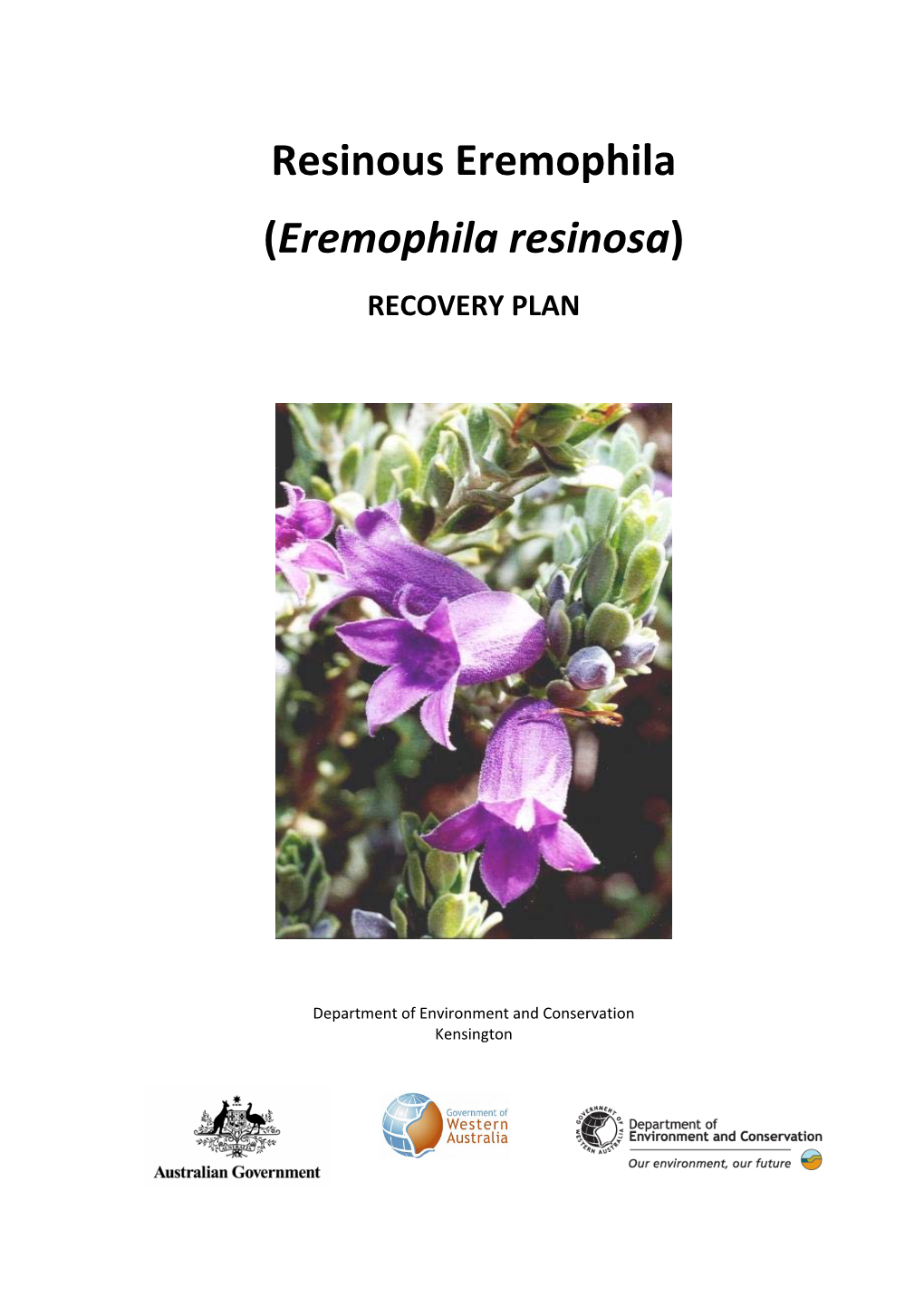 Eremophila Resinosa)