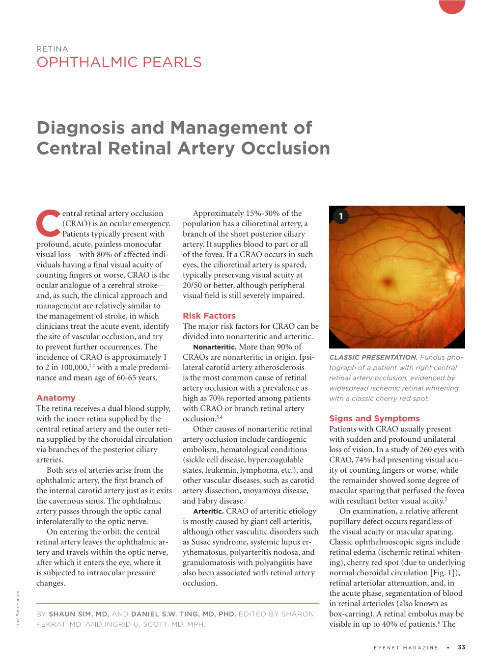Diagnosis and Management of Central Retinal Artery Occlusion