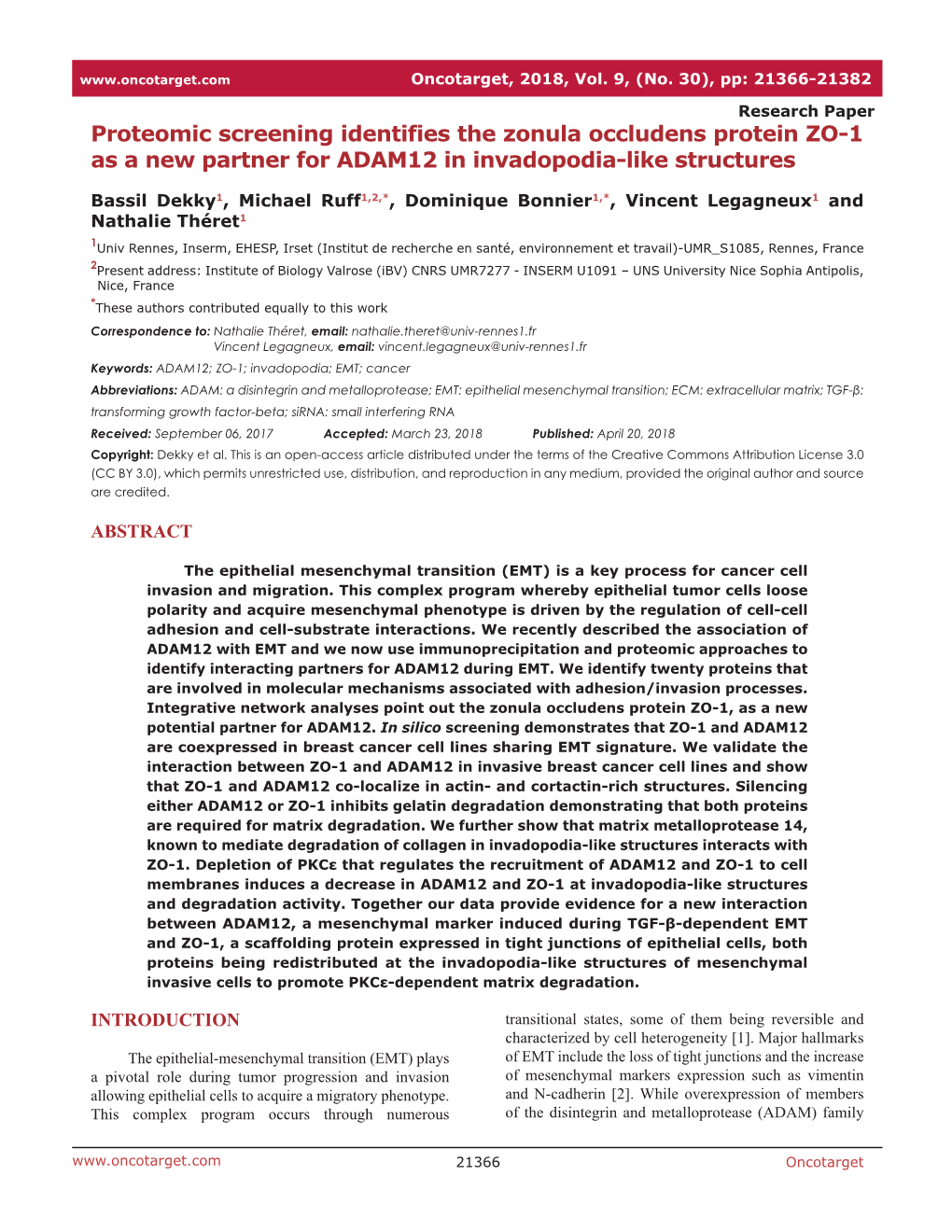 Proteomic Screening Identifies the Zonula Occludens Protein ZO-1 As a New Partner for ADAM12 in Invadopodia-Like Structures