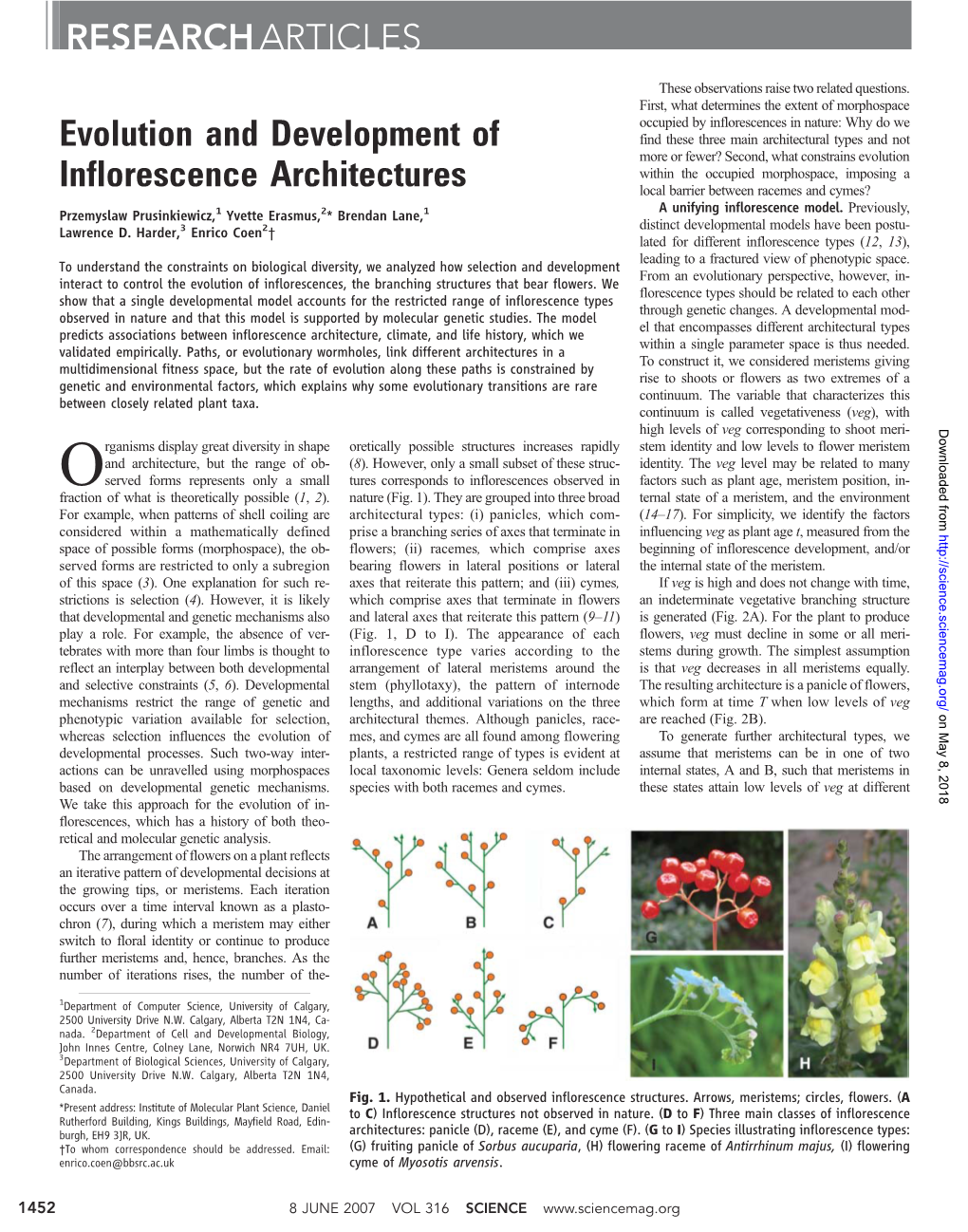 Evolution and Development of Inflorescence Architectures Przemyslaw Prusinkiewicz, Yvette Erasmus, Brendan Lane, Lawrence D