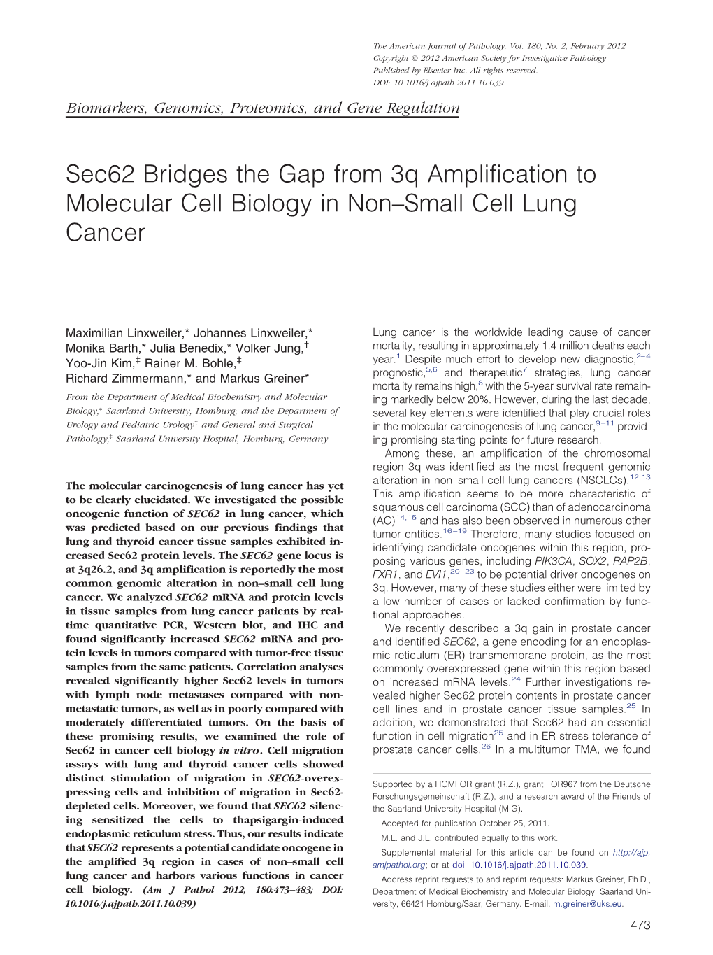 Sec62 Bridges the Gap from 3Q Amplification to Molecular Cell Biology in Non–Small Cell Lung Cancer