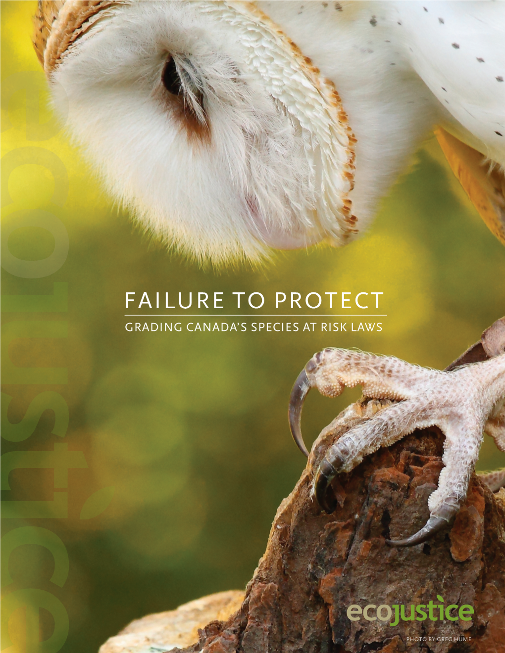 Failure to Protect: Grading Canada's Species at Risk Laws