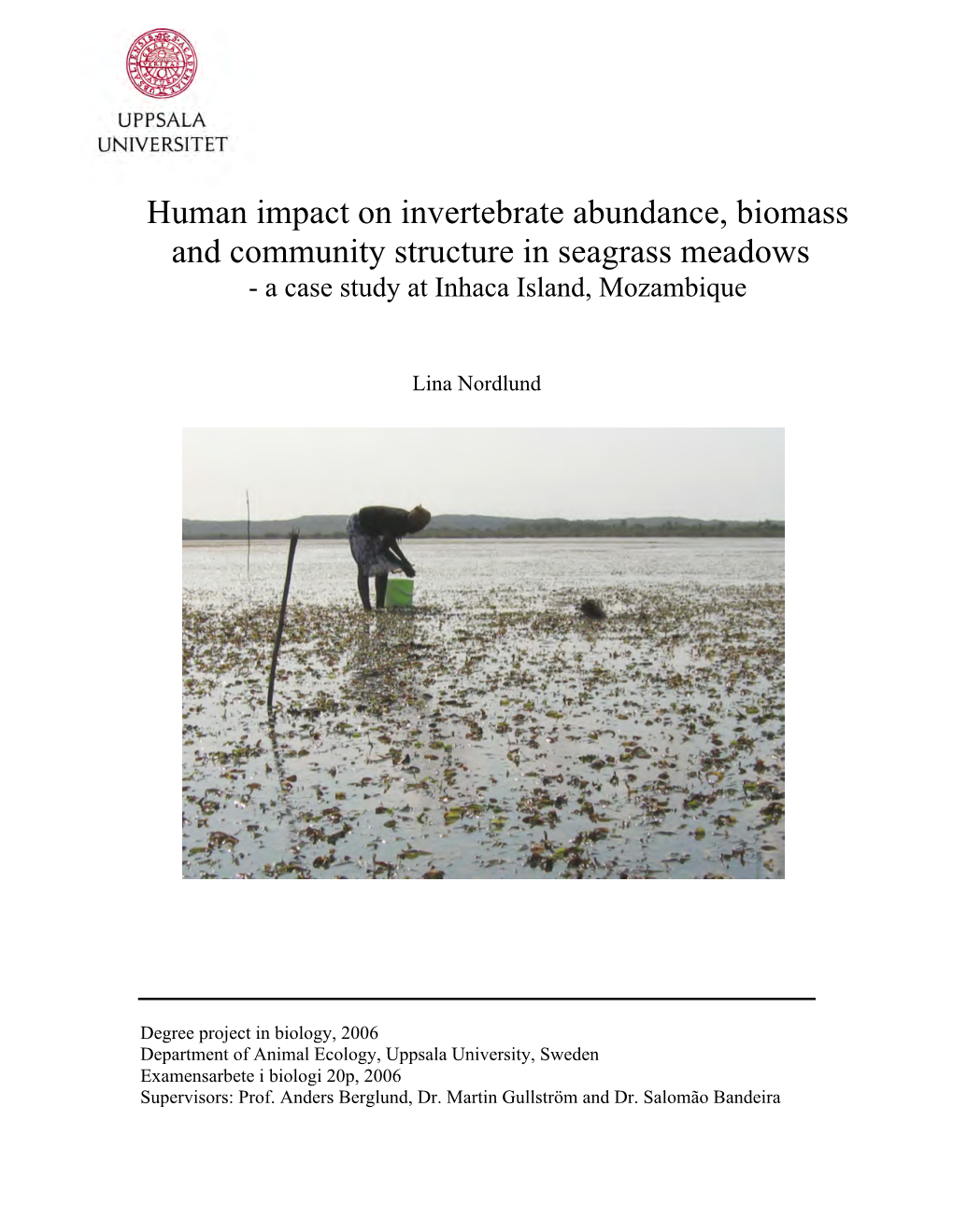 Human Impact on Invertebrate Abundance, Biomass and Community Structure in Seagrass Meadows - a Case Study at Inhaca Island, Mozambique