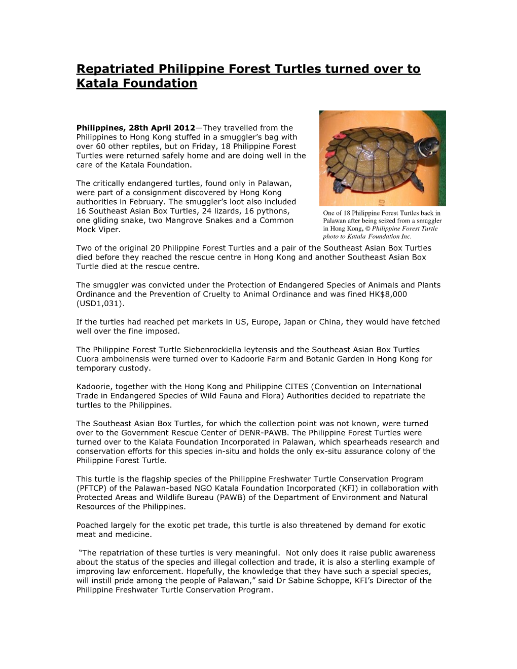 Repatriated Philippine Forest Turtles Turned Over to Katala Foundation