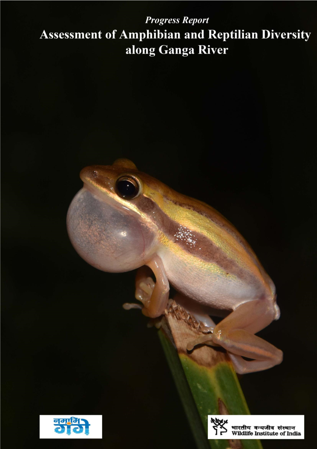 Some Herpetofauna Along Ganga River