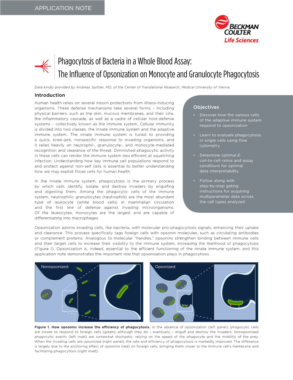 Phagocytosis of Bacteria in a Whole Blood Assay Application Note