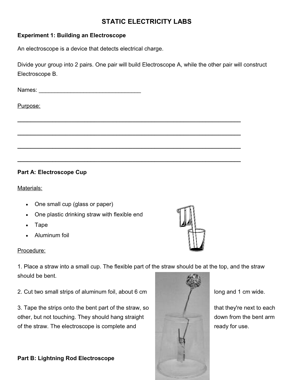 Static Electricity Labs