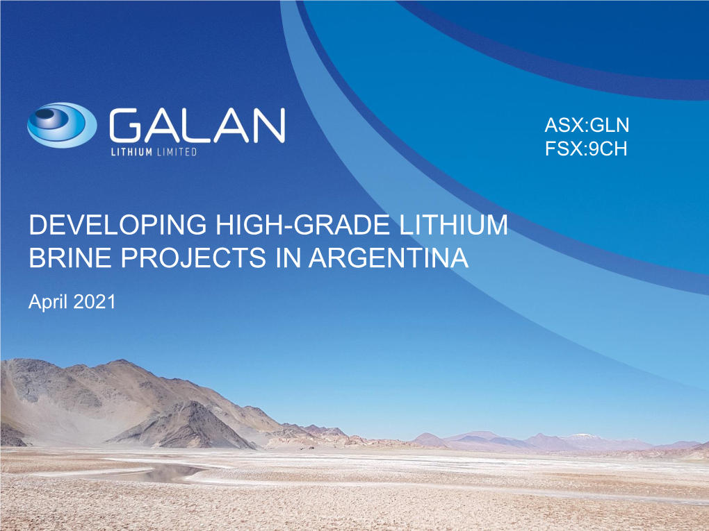 DEVELOPING HIGH-GRADE LITHIUM BRINE PROJECTS in ARGENTINA April 2021 DISCLAIMER and IMPORTANT INFORMATION DISCLAIMER and IMPORTANT INFORMATION