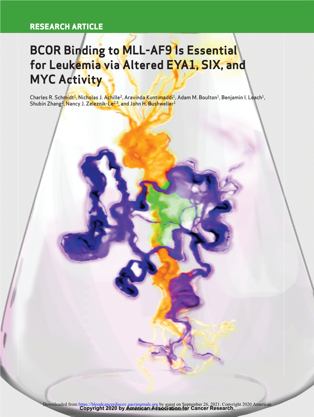 BCOR Binding to MLL-AF9 Is Essential for Leukemia Via Altered EYA1, SIX, and MYC Activity