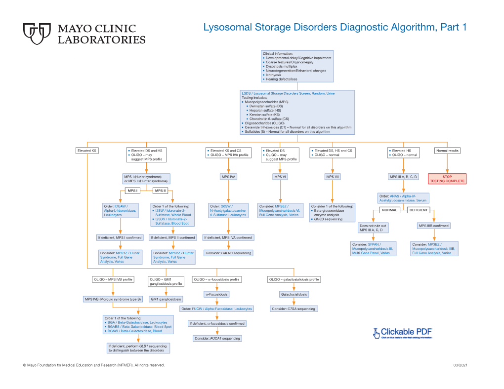 Lysosomal Storage Disorders Diagnostic Algorithm, Part 1