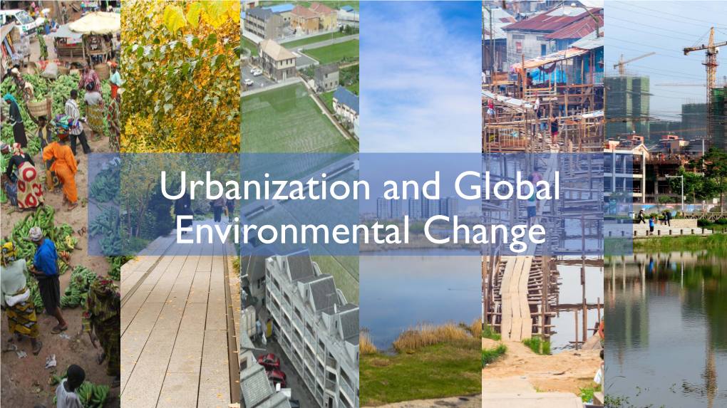 Urbanization and Global Environmental Change