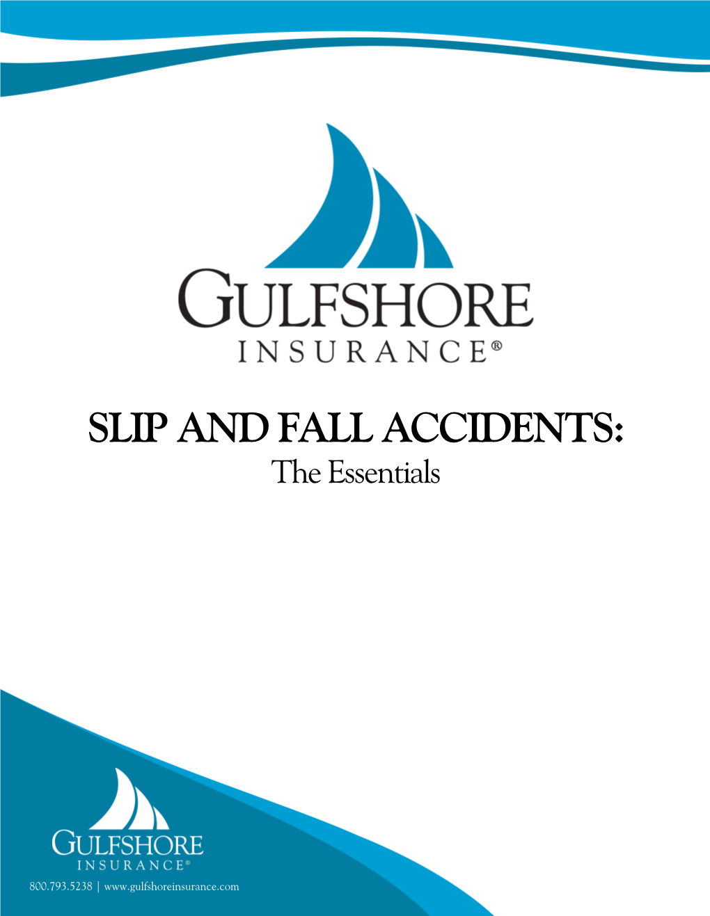 SLIP and FALL ACCIDENTS: the Essentials