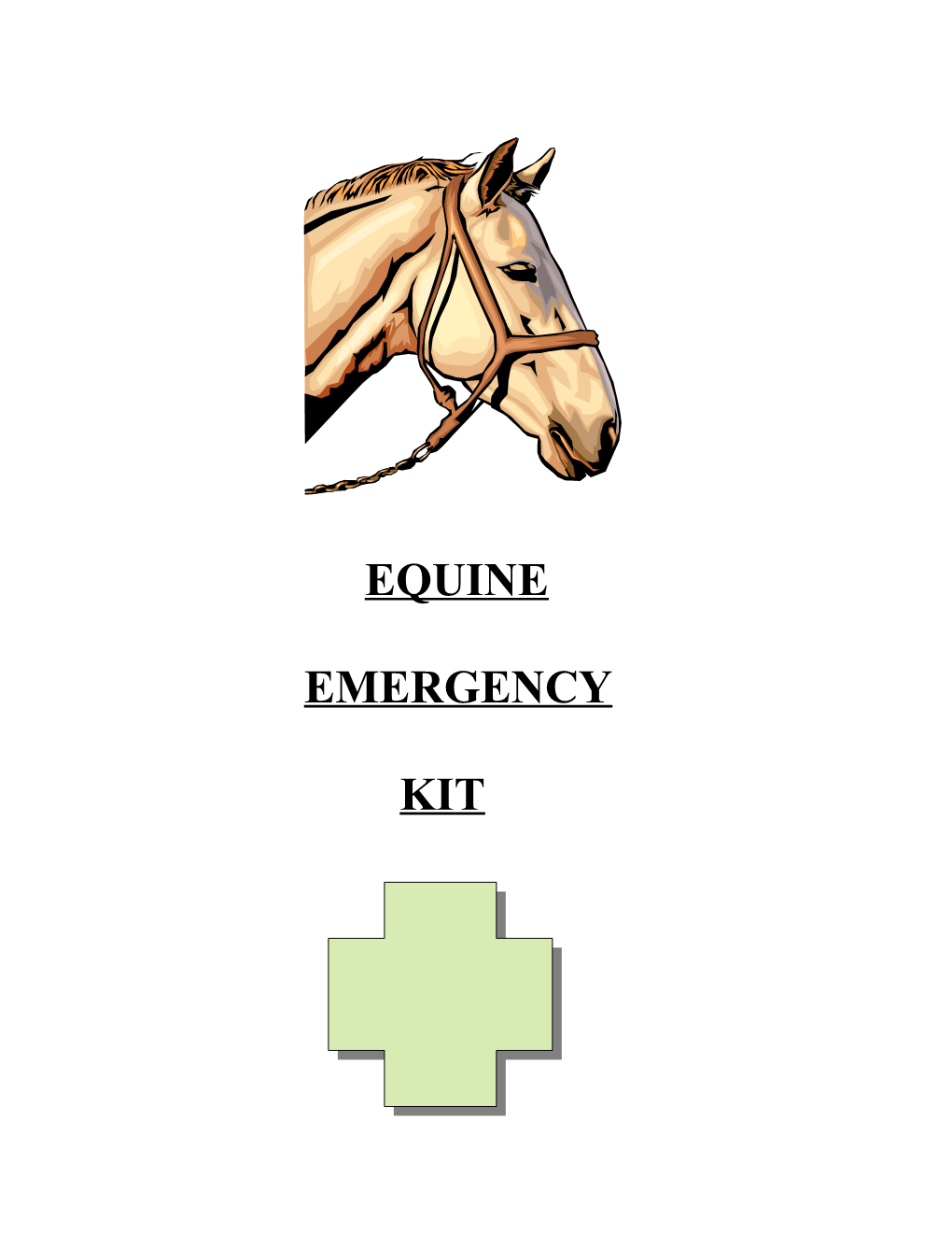 Equine Emergency Kit