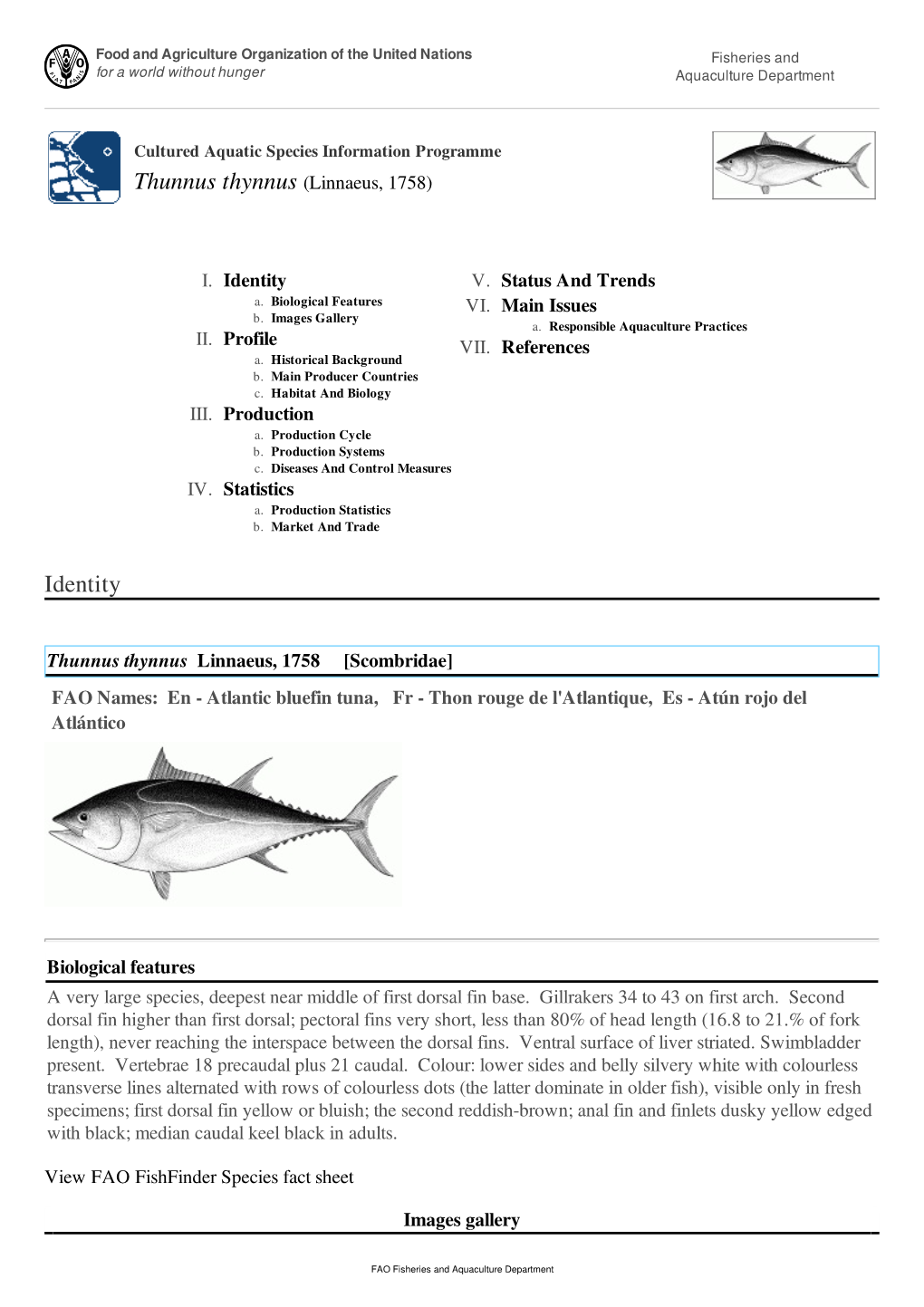 FAO Fisheries & Aquaculture