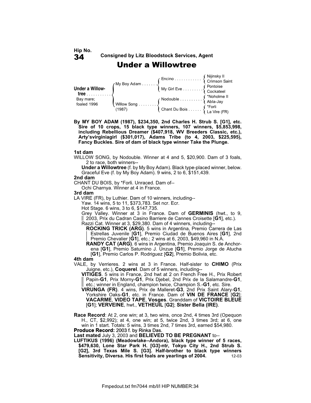 34 Consigned by Litz Bloodstock Services, Agent Under a Willowtree