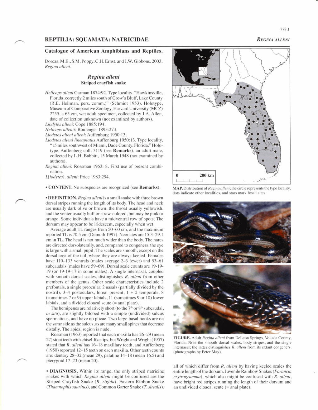 REPTILIA: SQUAMATA: NATRICIDAE Regina Alleni