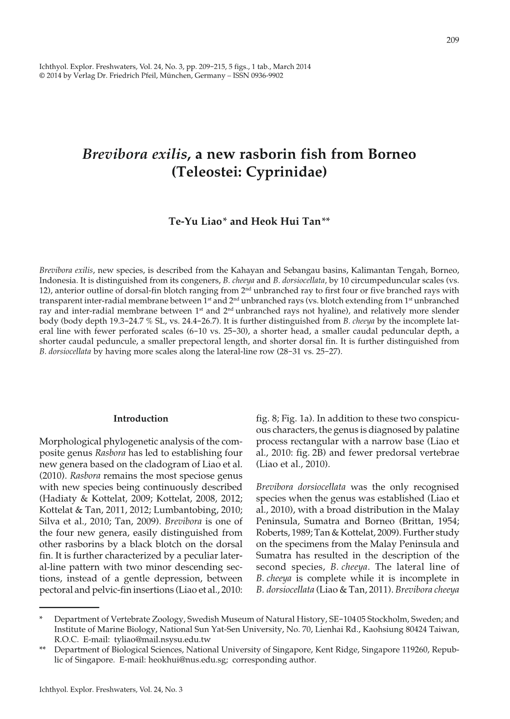 Brevibora Exilis , a New Rasborin Fish from Borneo