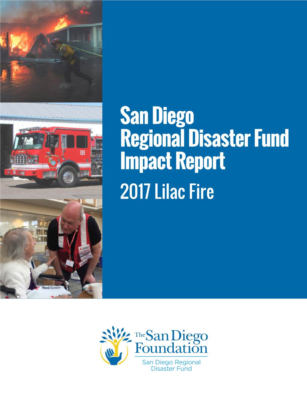 2017 Lilac Fire Impact Report