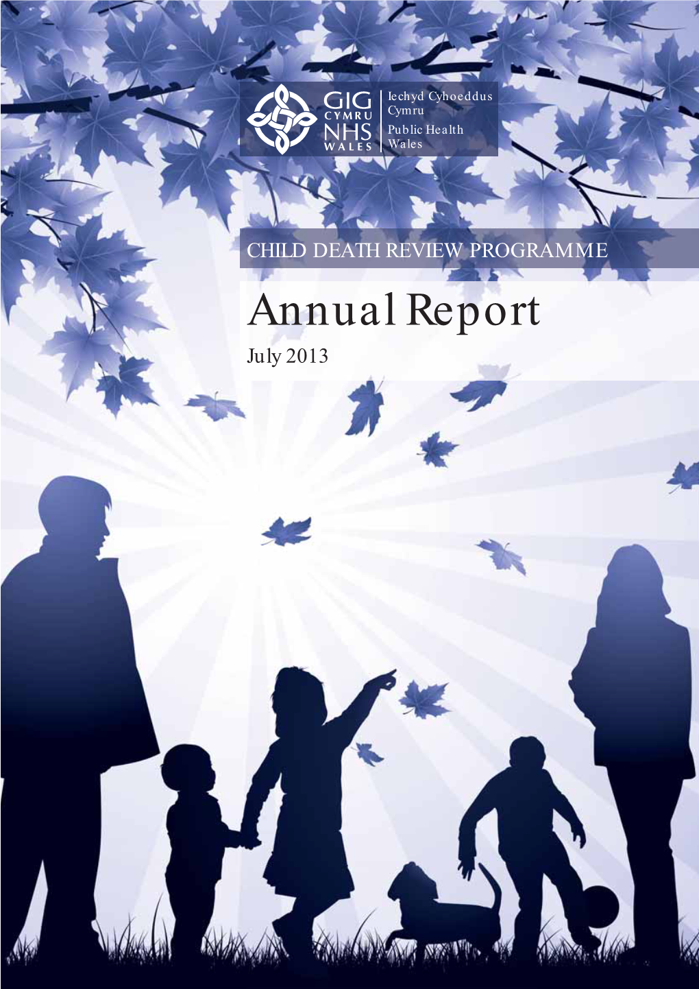 Cdr Annual Report