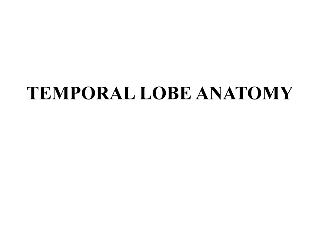 TEMPORAL LOBE ANATOMY • Dr