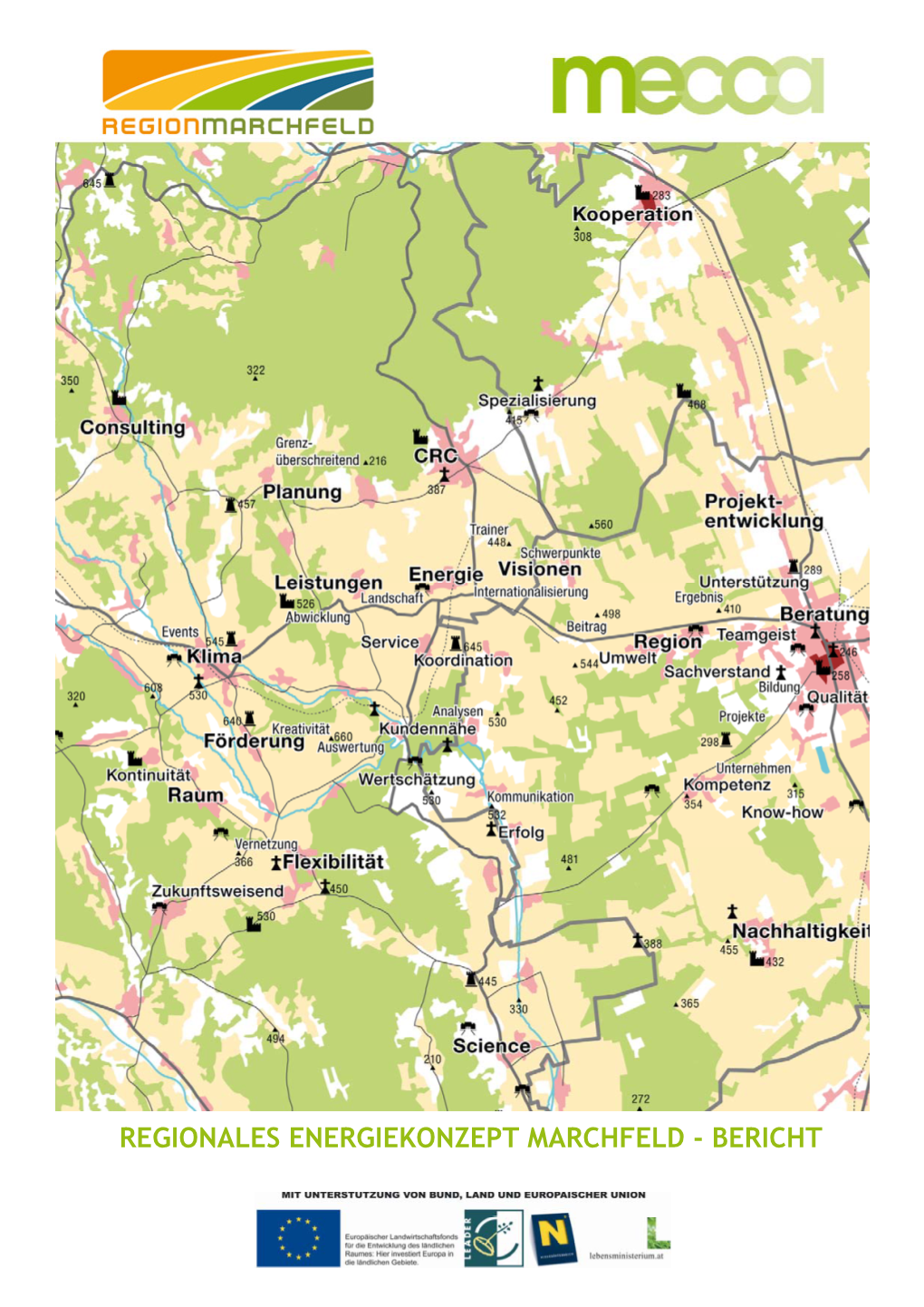 Regionales Energiekonzept Marchfeld - Bericht