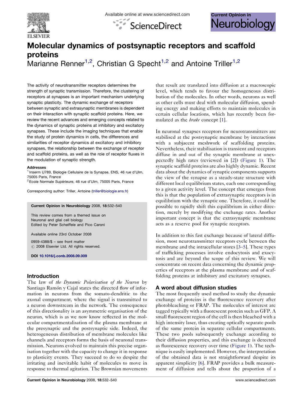 Molecular Dynamics of Postsynaptic Receptors and Scaffold Proteins Marianne Renner1,2, Christian G Specht1,2 and Antoine Triller1,2