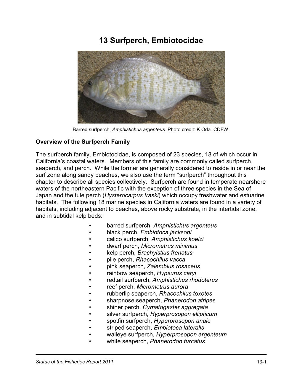 Surfperch, Embiotocidae