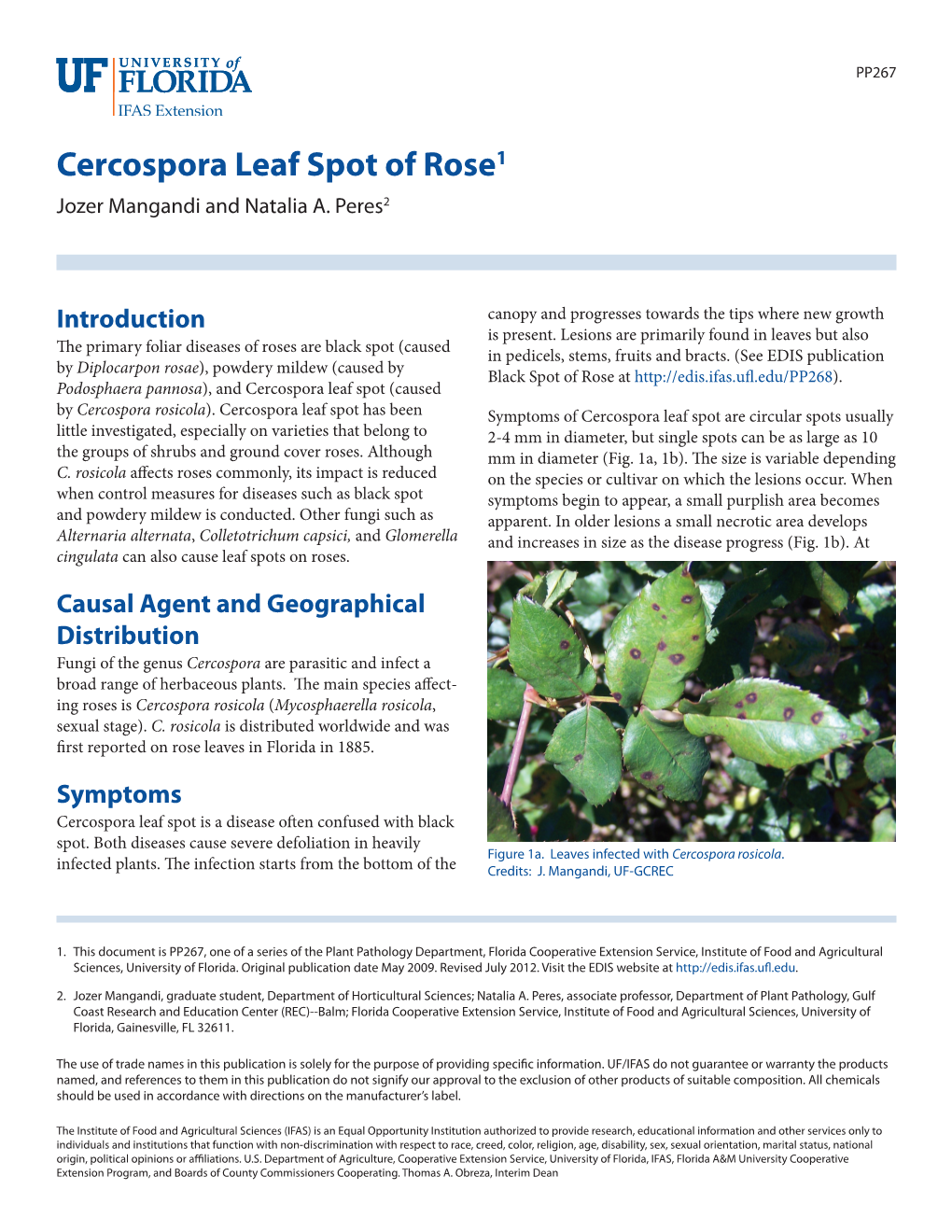 Cercospora Leaf Spot of Rose1 Jozer Mangandi and Natalia A