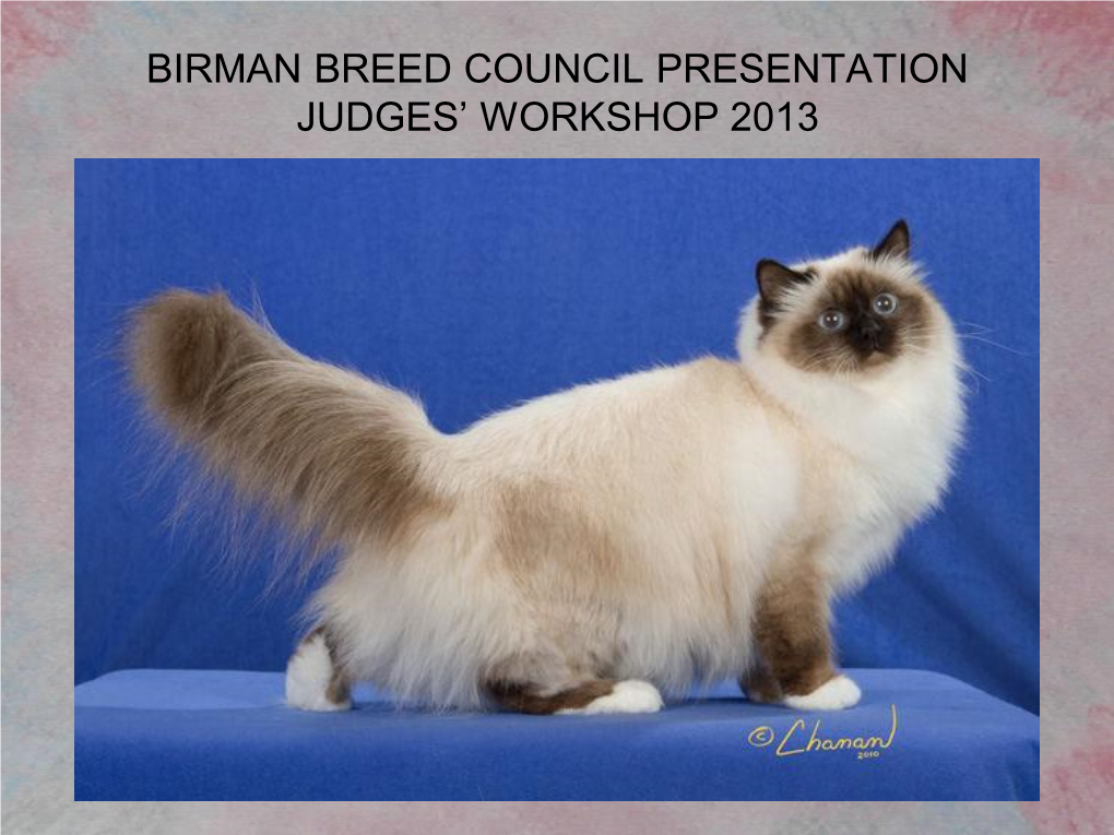 Birman Breed Presentation 2011