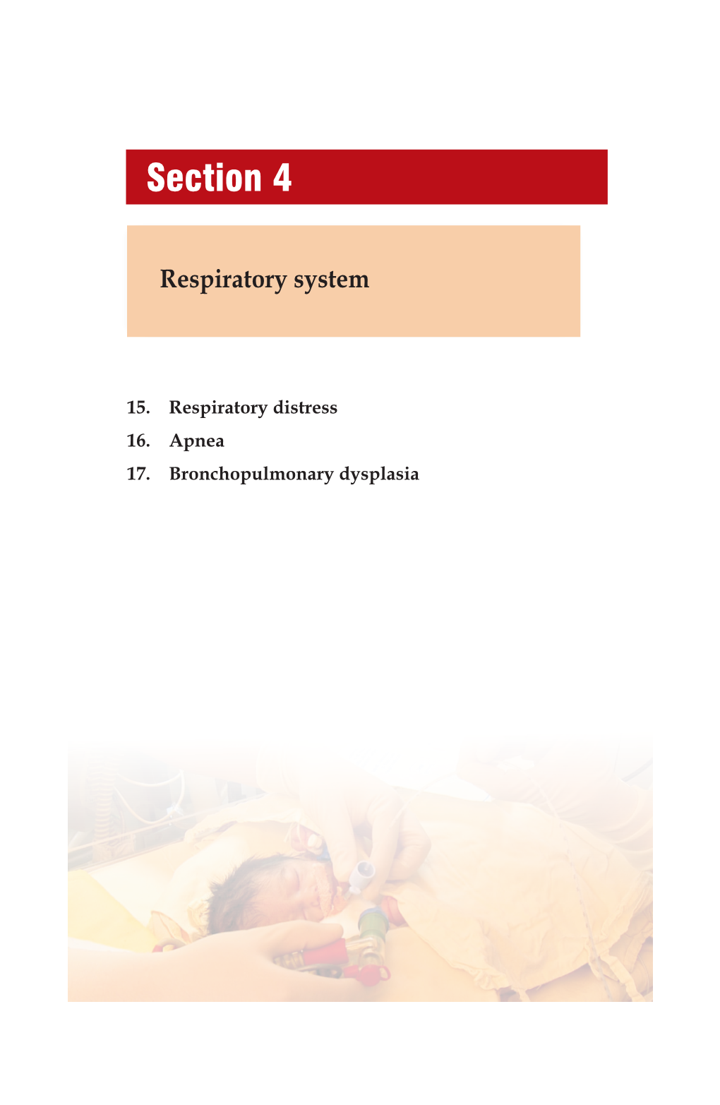 Respiratory System