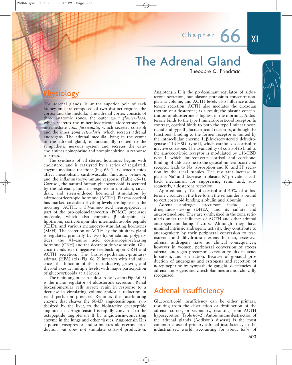 The Adrenal Gland Theodore C