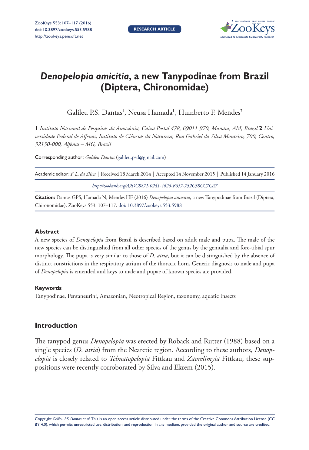 Denopelopia Amicitia, a New Tanypodinae from Brazil (Diptera, Chironomidae)