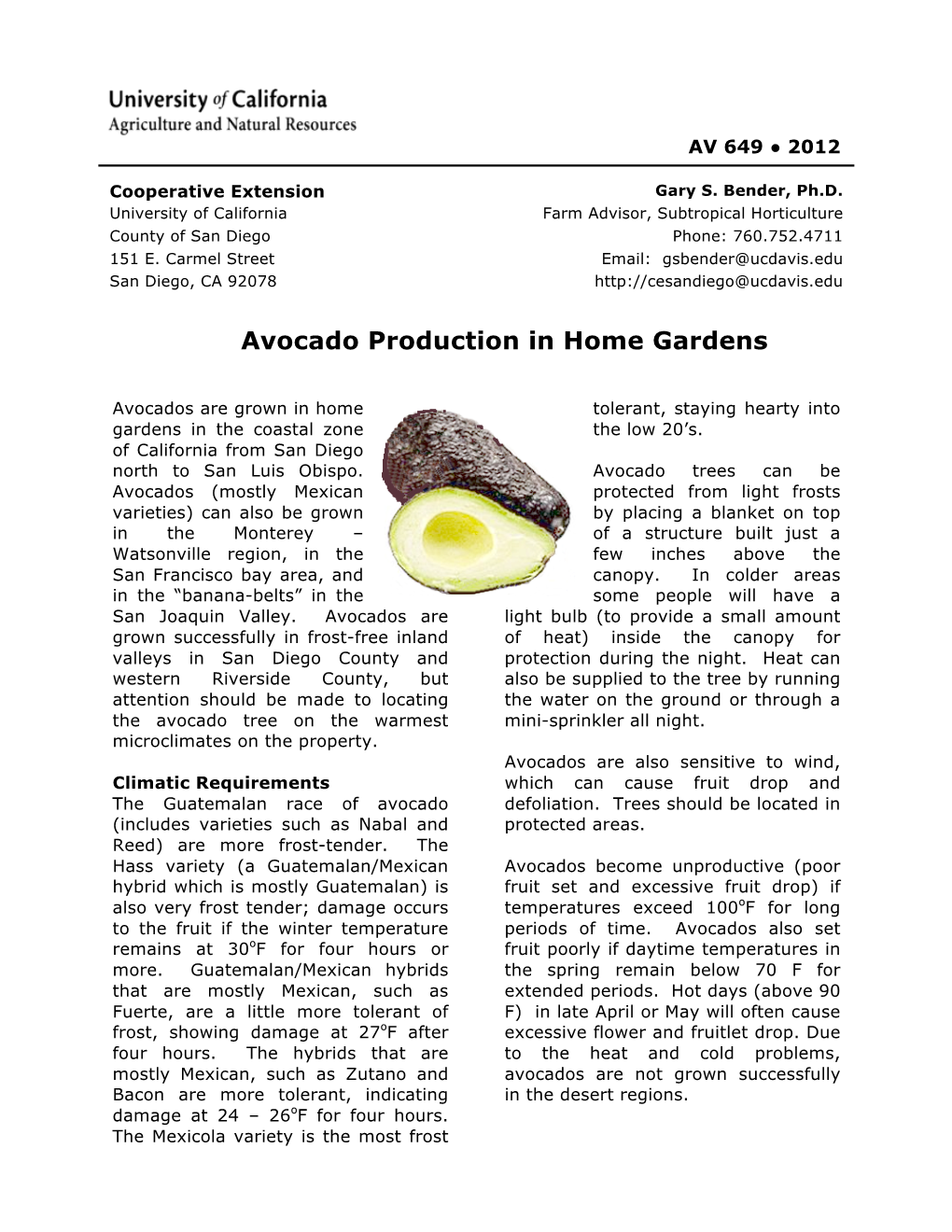 Avocado Production in Home Gardens