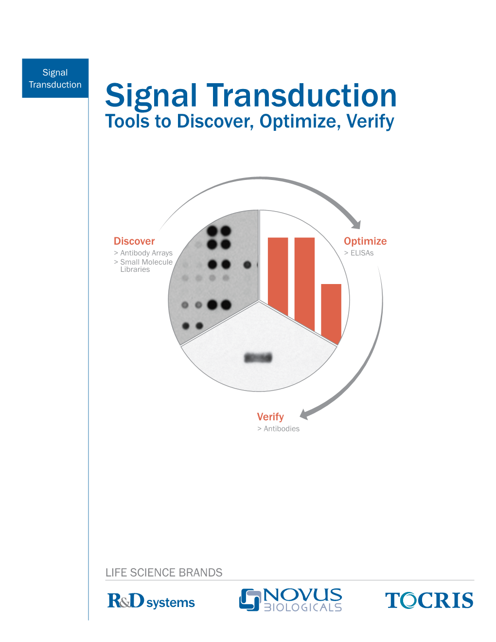 Signal Transduction Signal Transduction Tools to Discover, Optimize, Verify