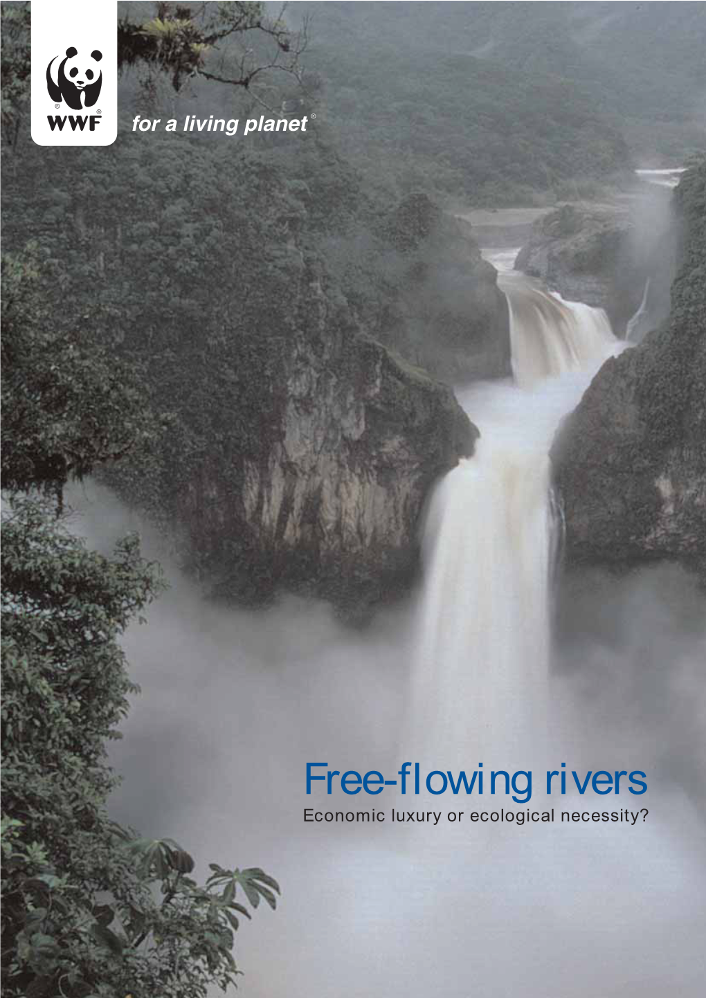 Free-Flowing Rivers