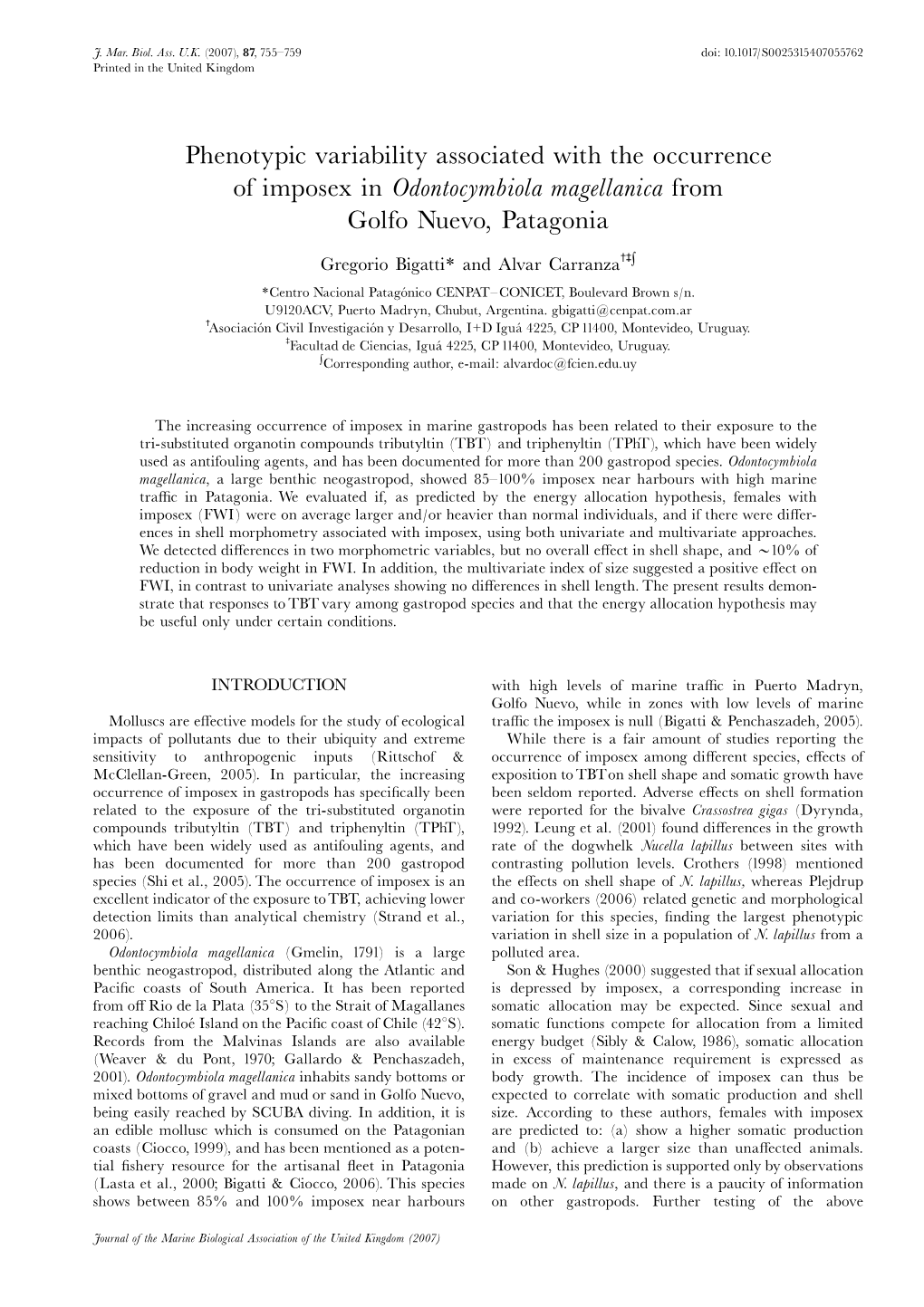 Phenotypic Variability Associated with the Occurrence of Imposex in Odontocymbiola Magellanica from Golfo Nuevo, Patagonia